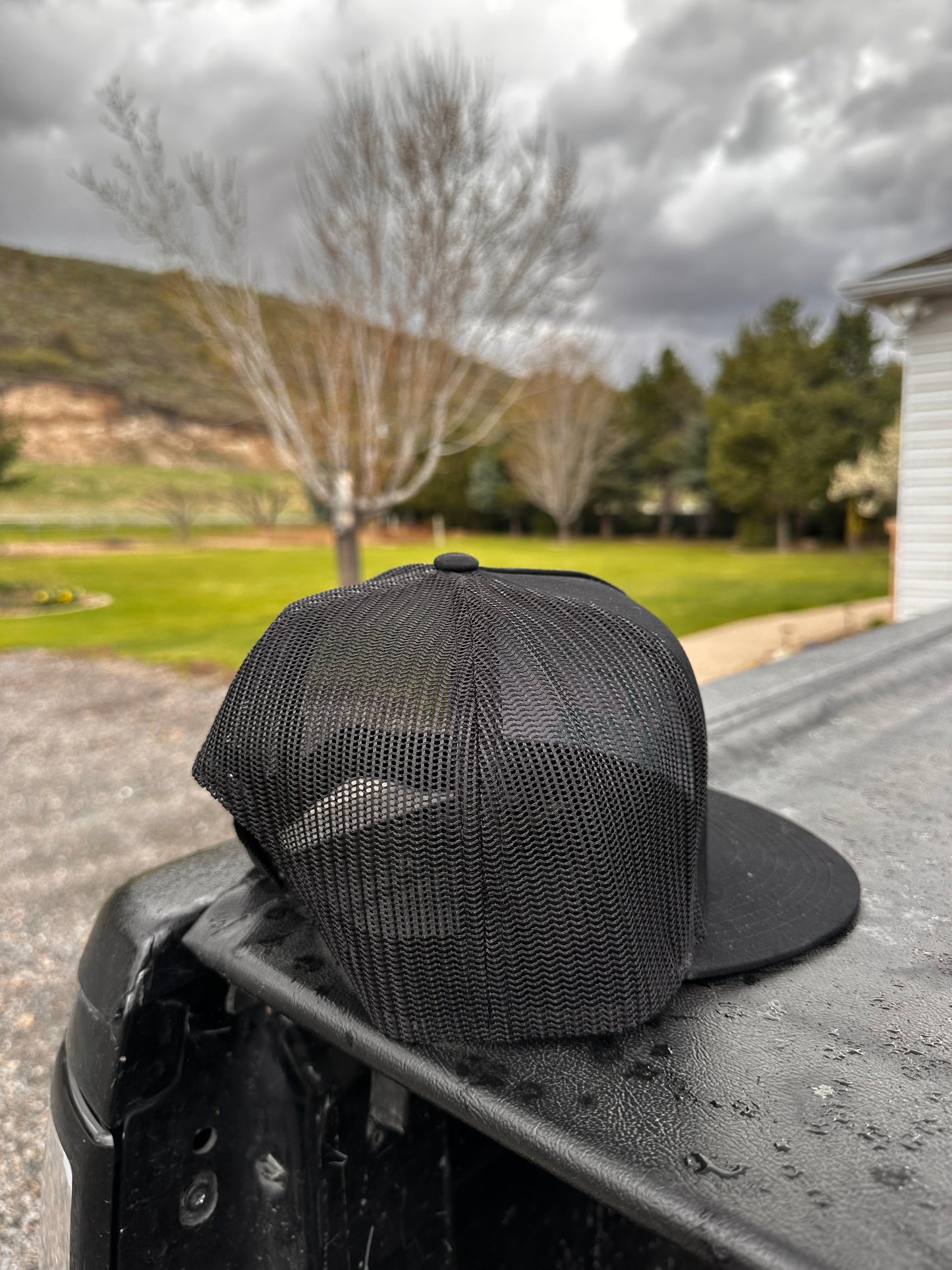 “The Pink Rancher”