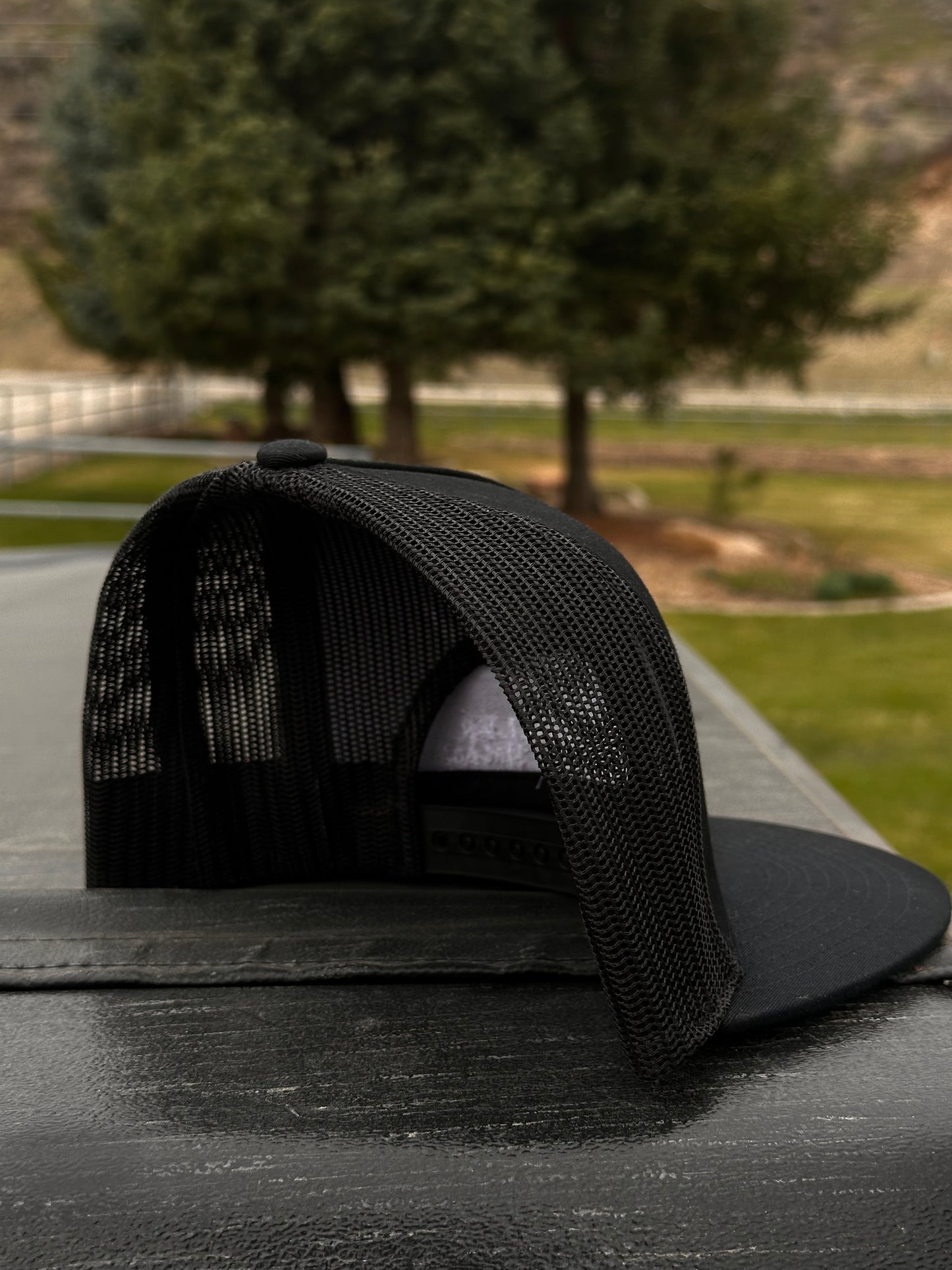 “The Ranch Hand”