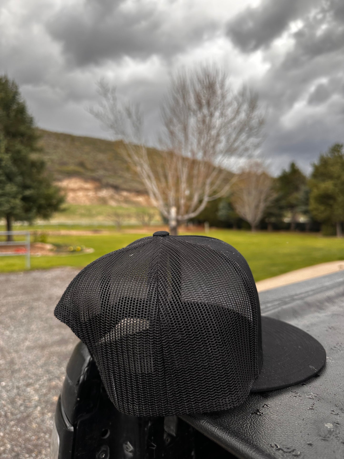 “The Retired Rancher”